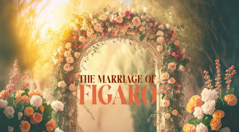 Opera Roanoke Marriage of Figaro.jpeg