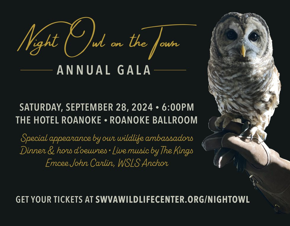Gala Flyer 2024 Night Owl on the Town.jpg