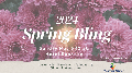 65aa79856d0e361e118bfd7d_2024 Spring Bling -p-500.png