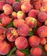 Optimized-Fruit Peaches.jpg