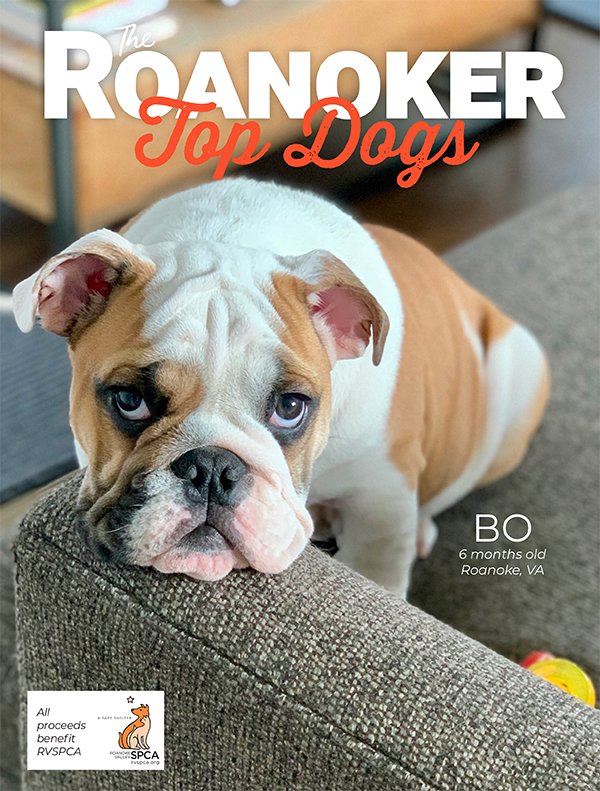 Top Dogs Mock Cover 2021