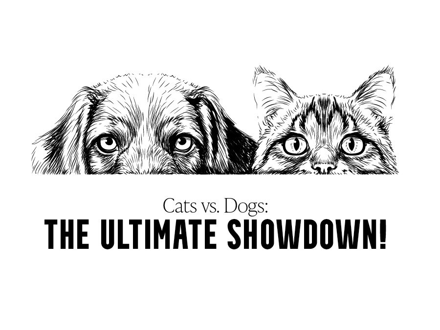 Cats vs. Canine: The Final Showdown!