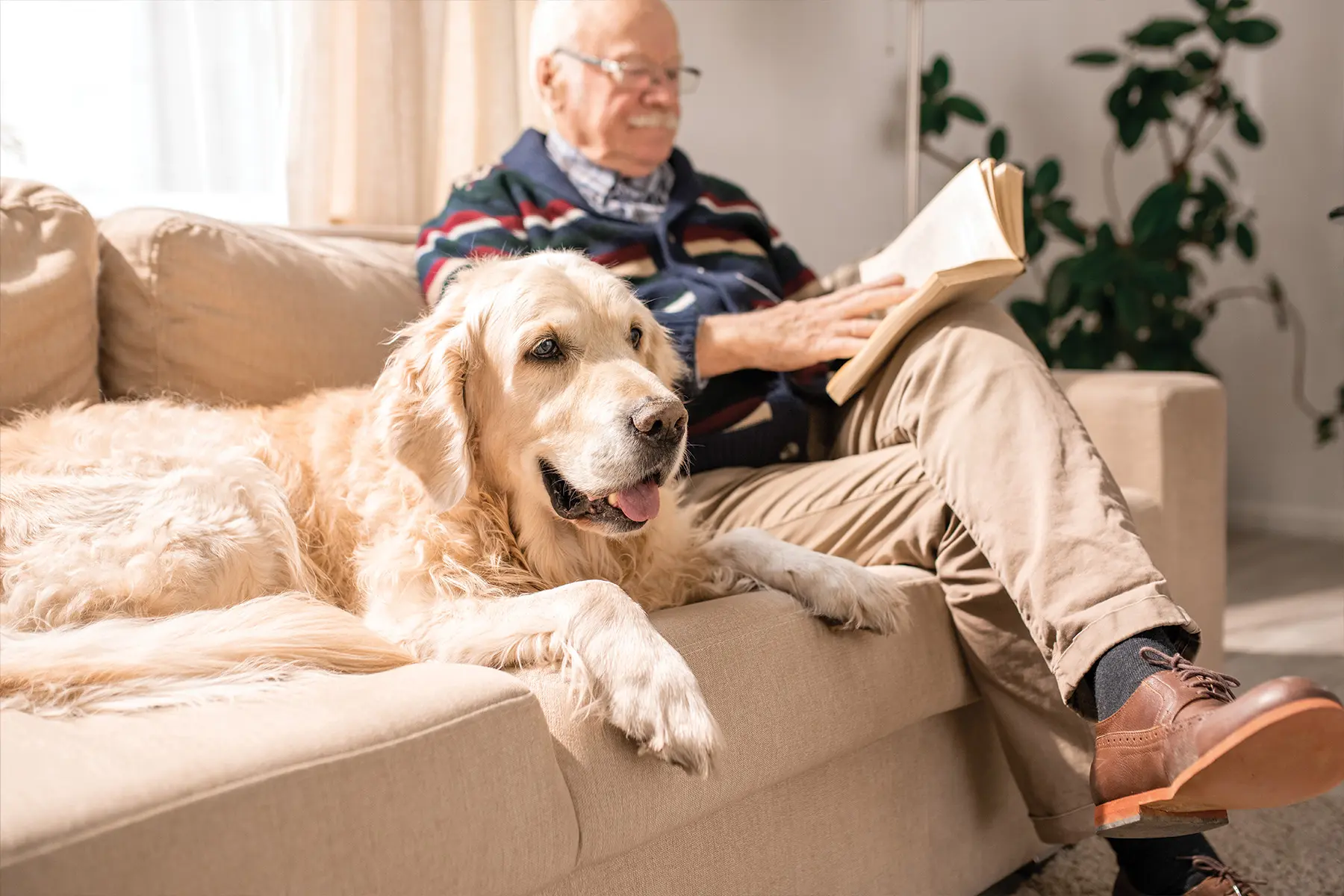 man sitting on couch reading with he dog by his side