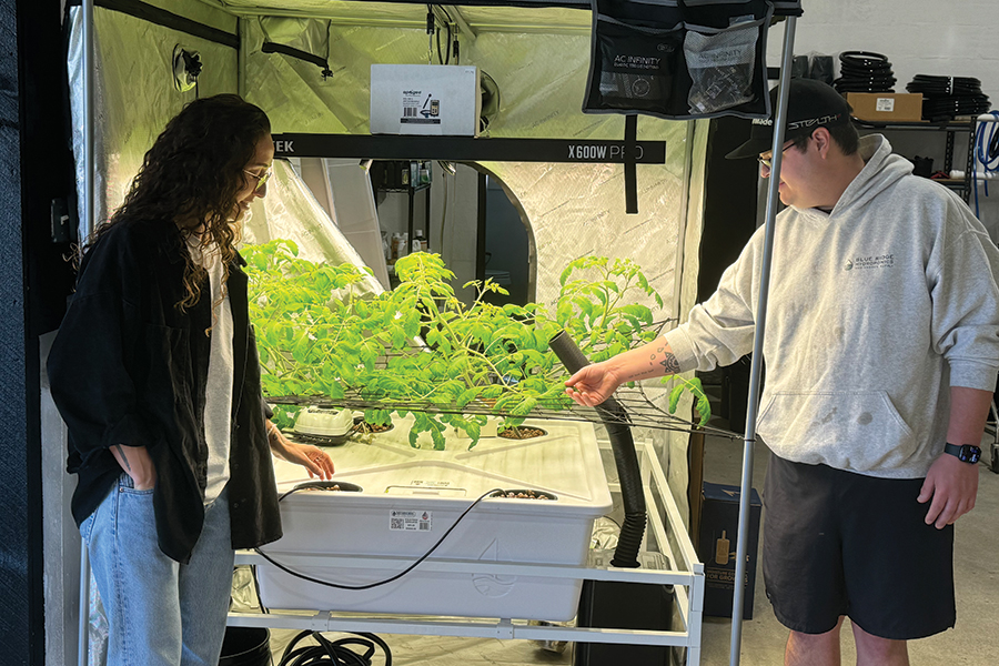 Beierle and Poe present a hydroponic set-up.