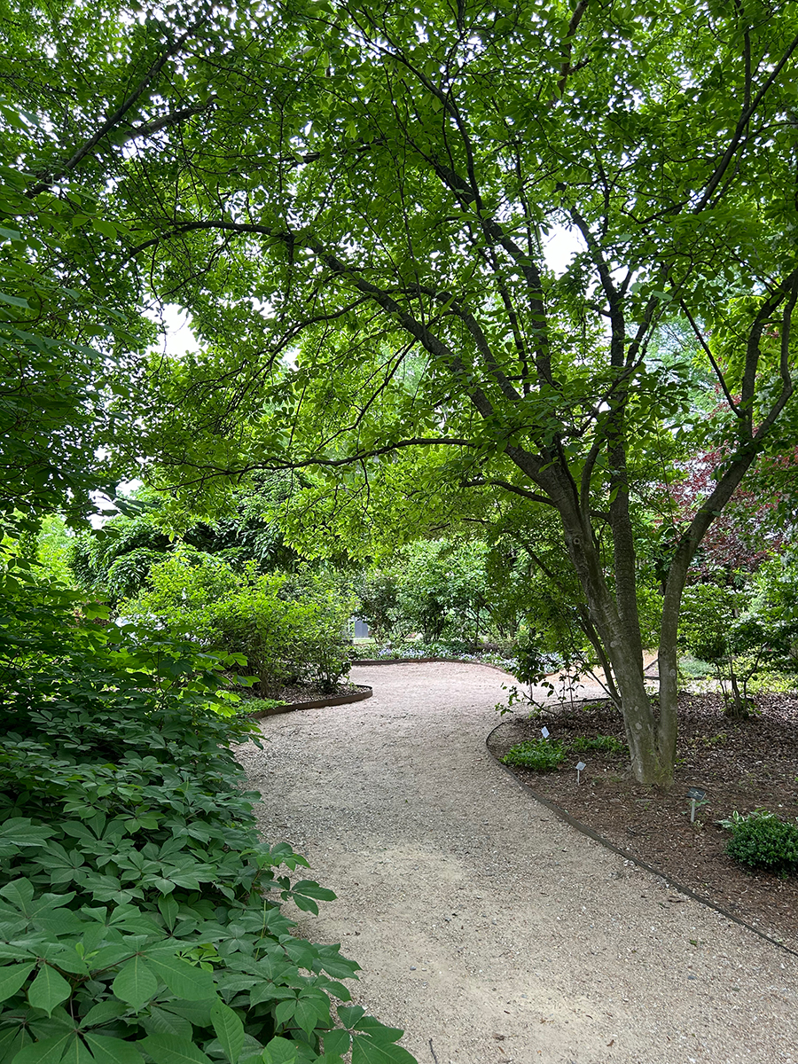 Virginia Western Community College’s Arboretum offers an easy stroll to admire nature while remaining in the city.