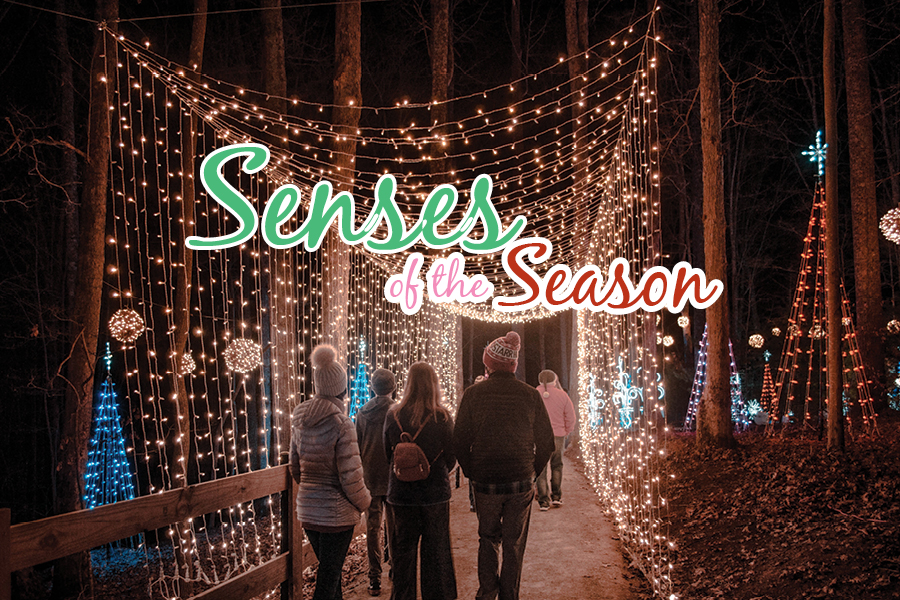 The immersive magic of Illuminights is the very definition of seasonal wide-eyed-wonder.