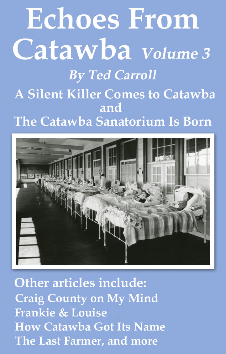 The newest book in the "Echoes From Catawba" series was released late last year.