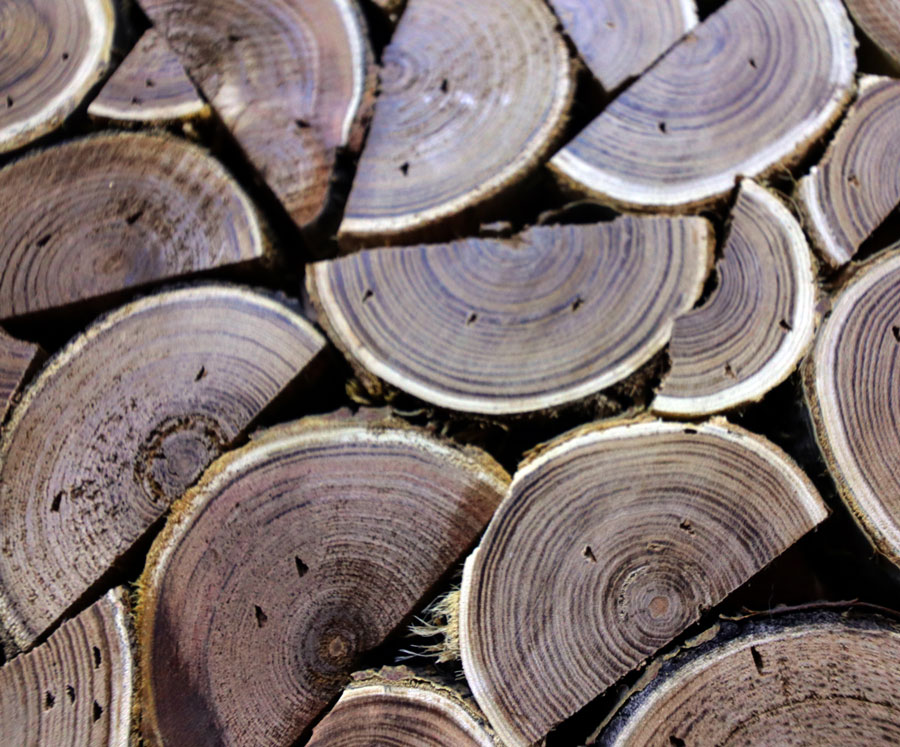Heart Wood