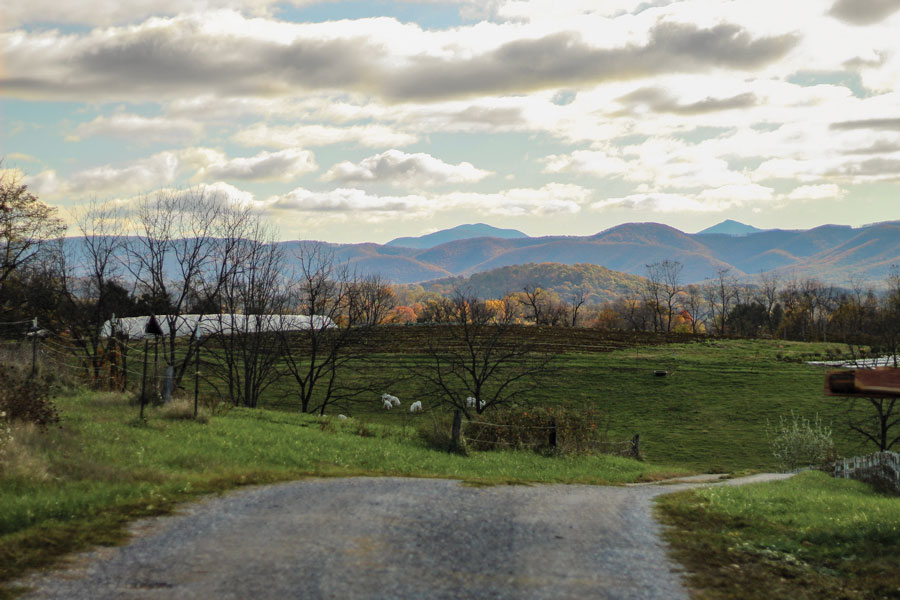 Thornfield Farm