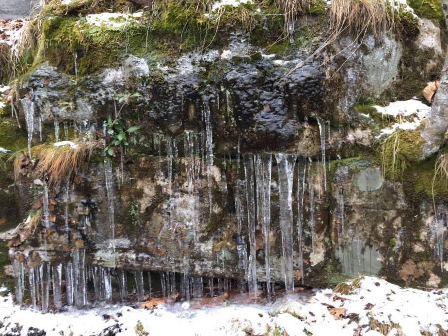Tinker Cliffs/Andy Layne trail hike