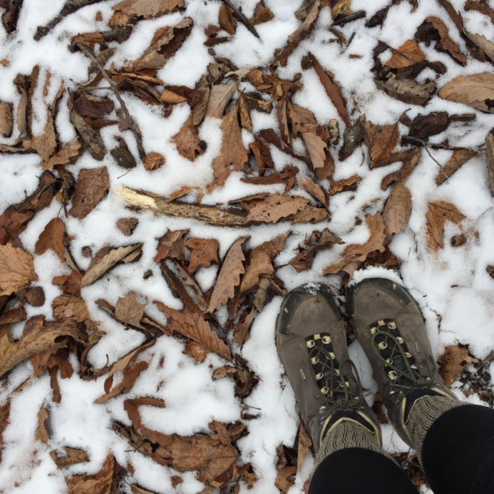 Tinker Cliffs/Andy Layne trail hike
