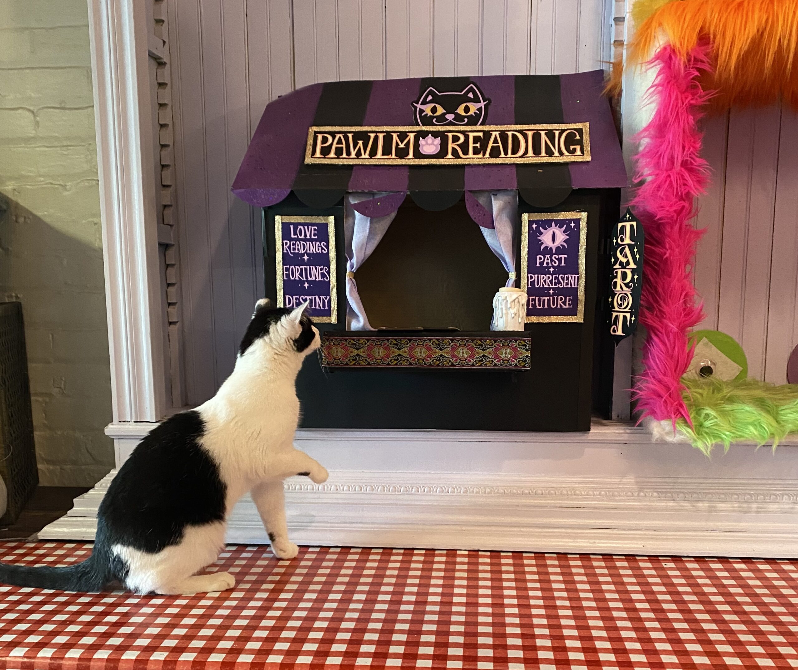 A Kitty City resident in front of one of the custom-made “businesses” in the café.