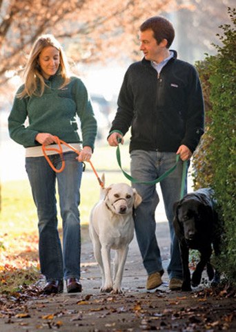 Lauren and Whit Ellerman walk near their home on Jefferson Street with Gracie (white coat) and Atticus. Lauren Ellerman’s sentiment: “Family or no family, we are all welcome.”