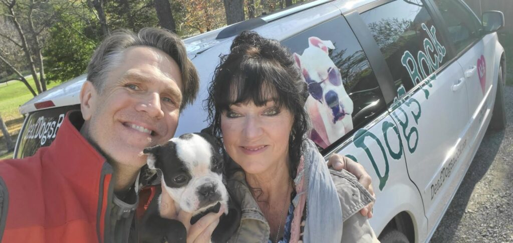 Chris and Christina Lee's seven-month-old Boston Terrier puppy Marshall will be competing in Animal Planet's Puppy Bowl this Sunday.