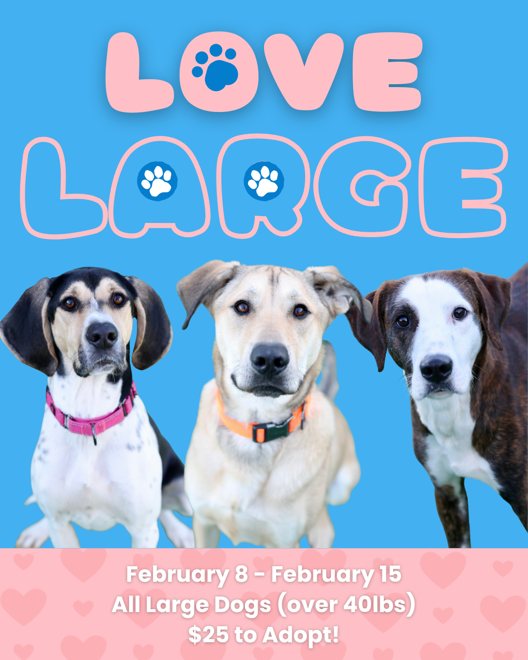Love Large - 1