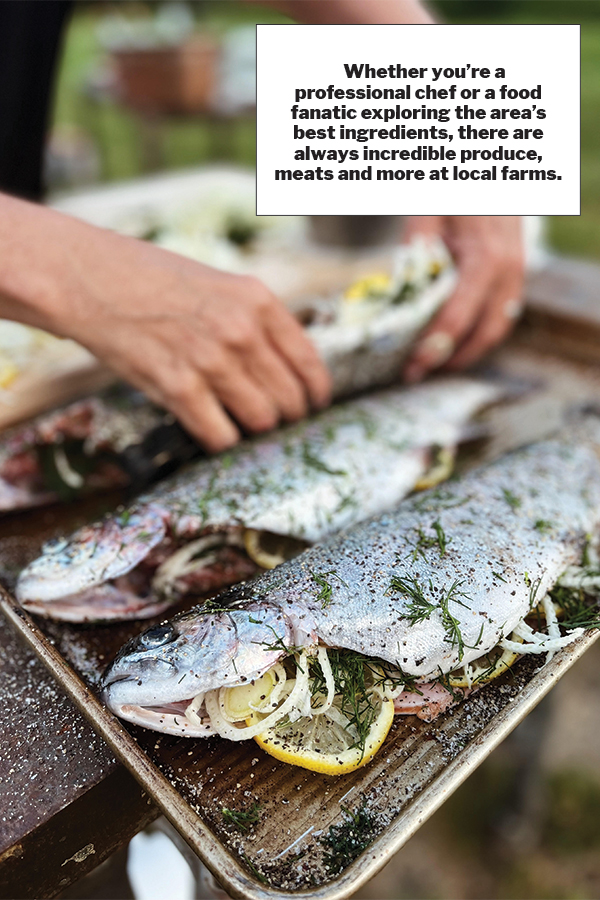 Smoke in Chimneys Trout Farm is making a name for itself in spring-raised trout not only in our region, but all over the East Coast. ©Courtesy of Smoke in Chimneys Farm