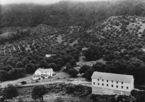 The Back Creek Orchard Company of J.D. Willett at Bent Mountain.