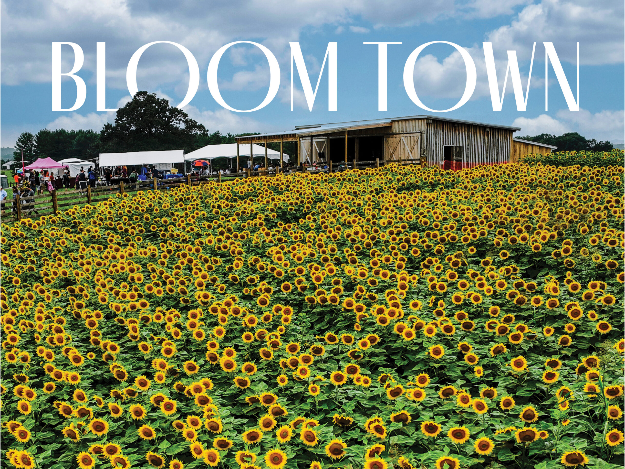 The Beaver Dam Sunflower Festival attracts about 20,000 visitors annually — a boon to the local economy.