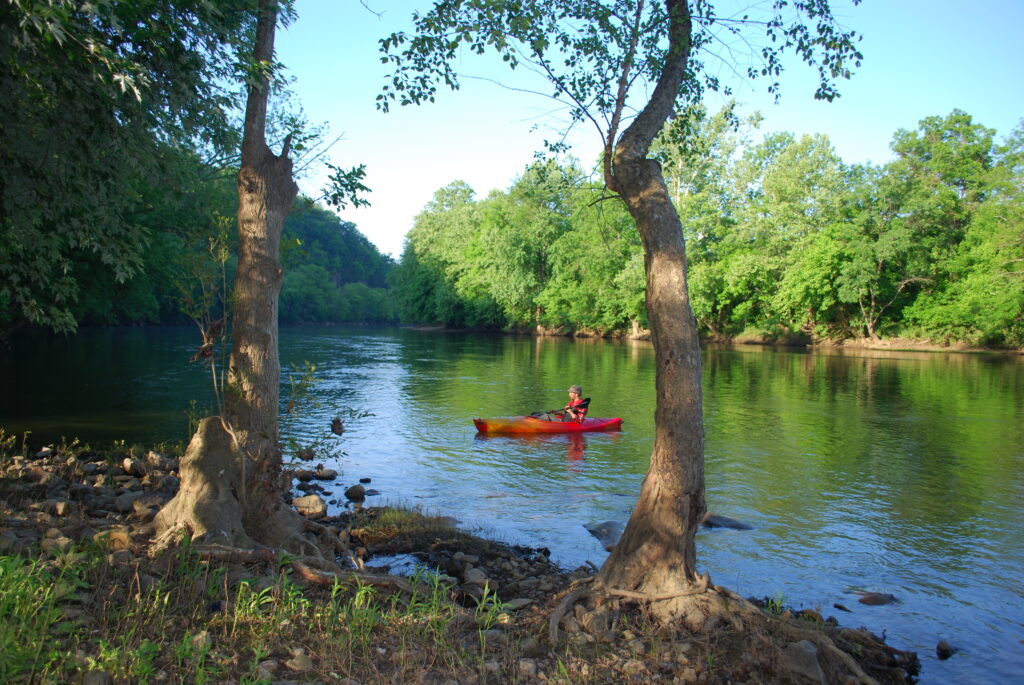 Heavily wooded shorelines are a trait of the Narrow Passage to Springwood getaway.