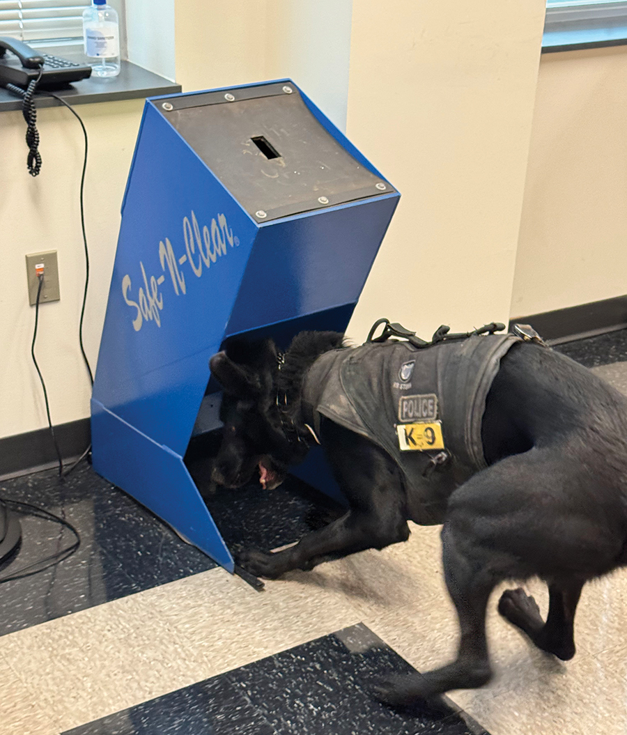 Ghost identifies hidden ammunition by scent.