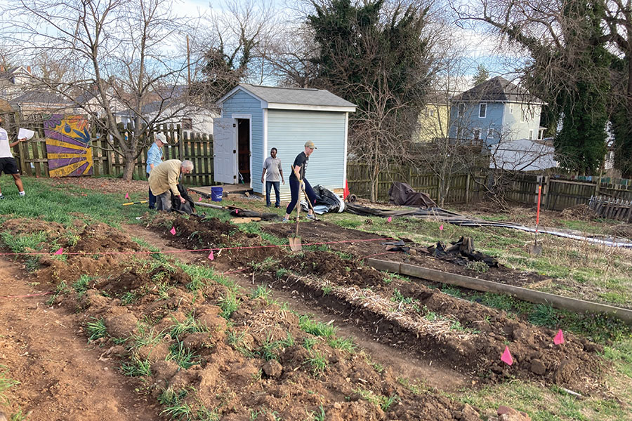 Volunteering at a community garden is an excellent way to stay active and help out your neighbors.