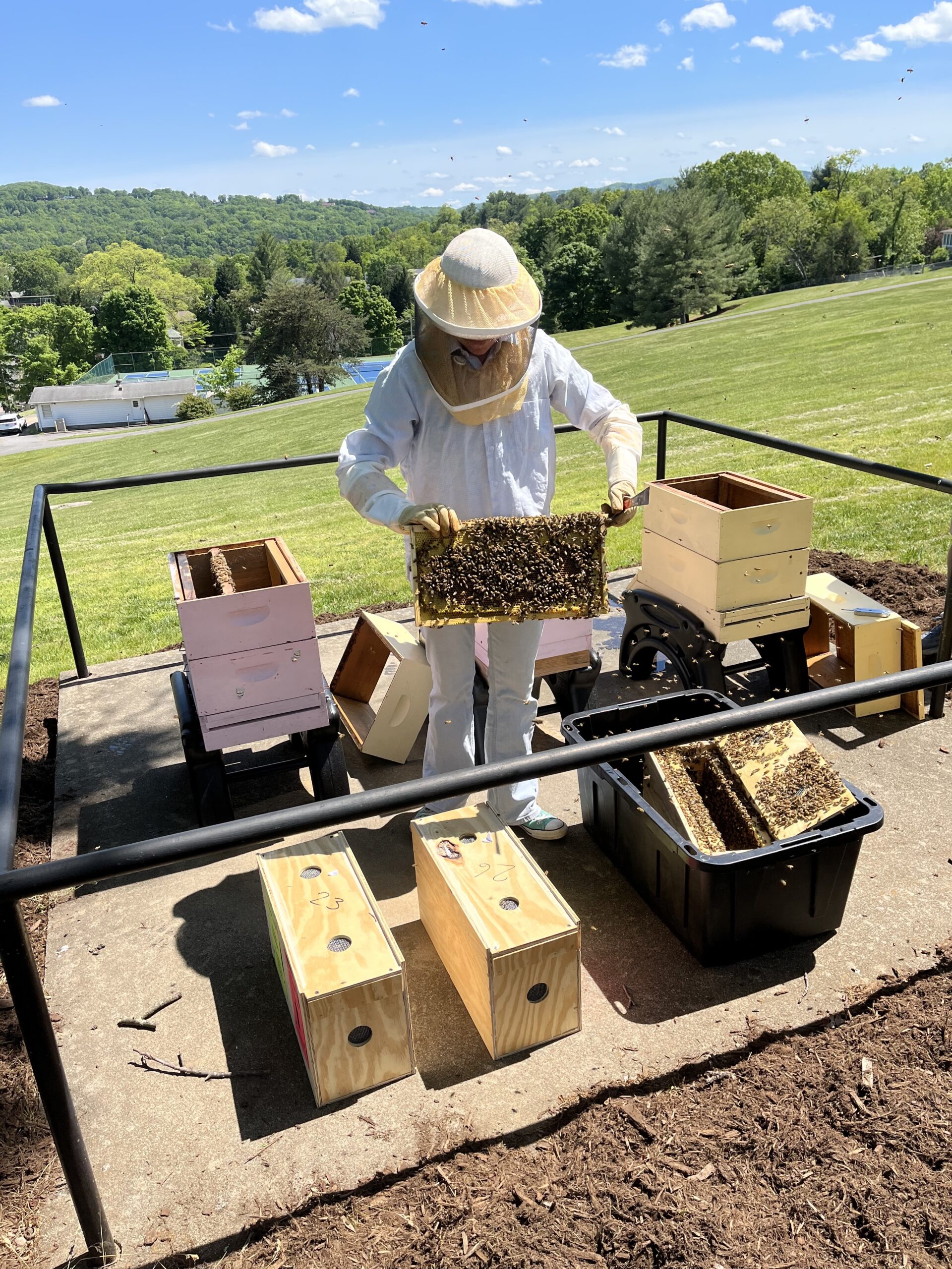 Virginia Western faculty member Jenifer Kurtz (in beekeeping gear) gets bees situated after the Bee Campus Committee moved three nucleus colonies of bees into their new home on campus Friday, May 5.