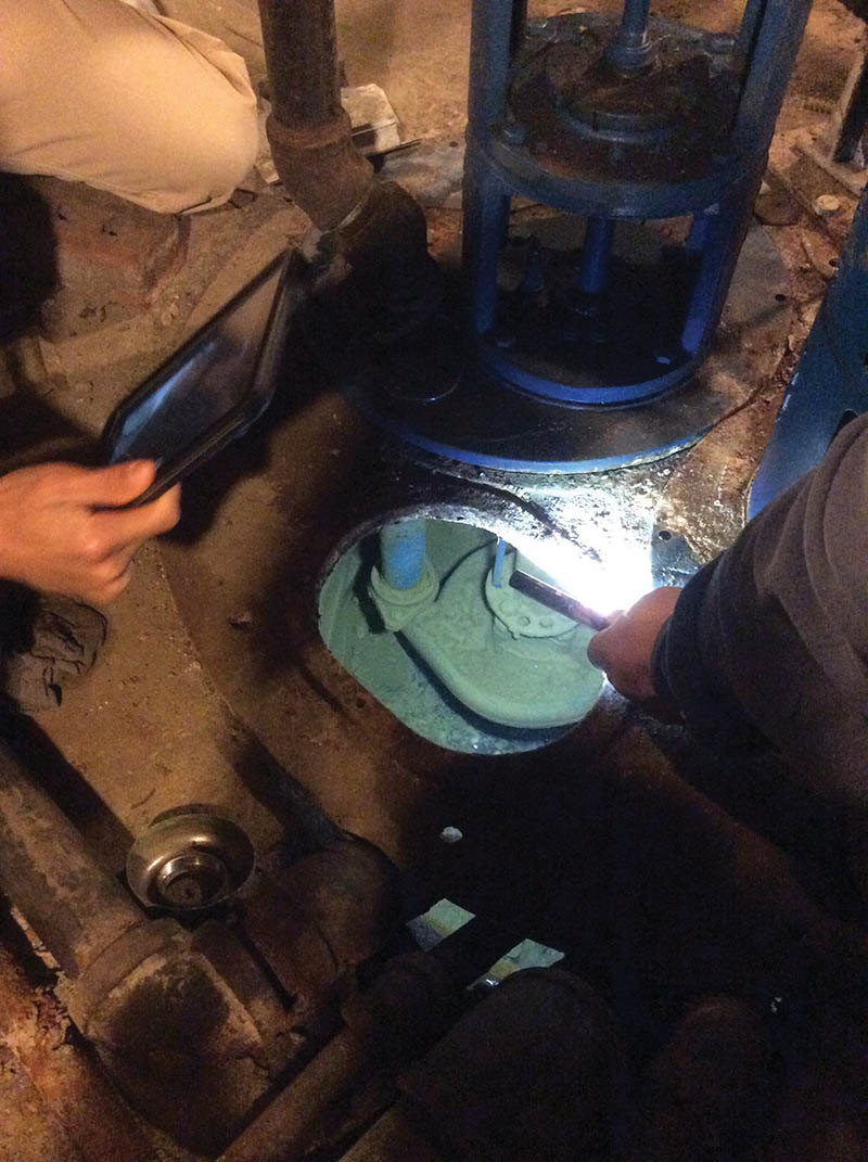 This spring, found in a Roanoke basement, feeds Trout Run. 