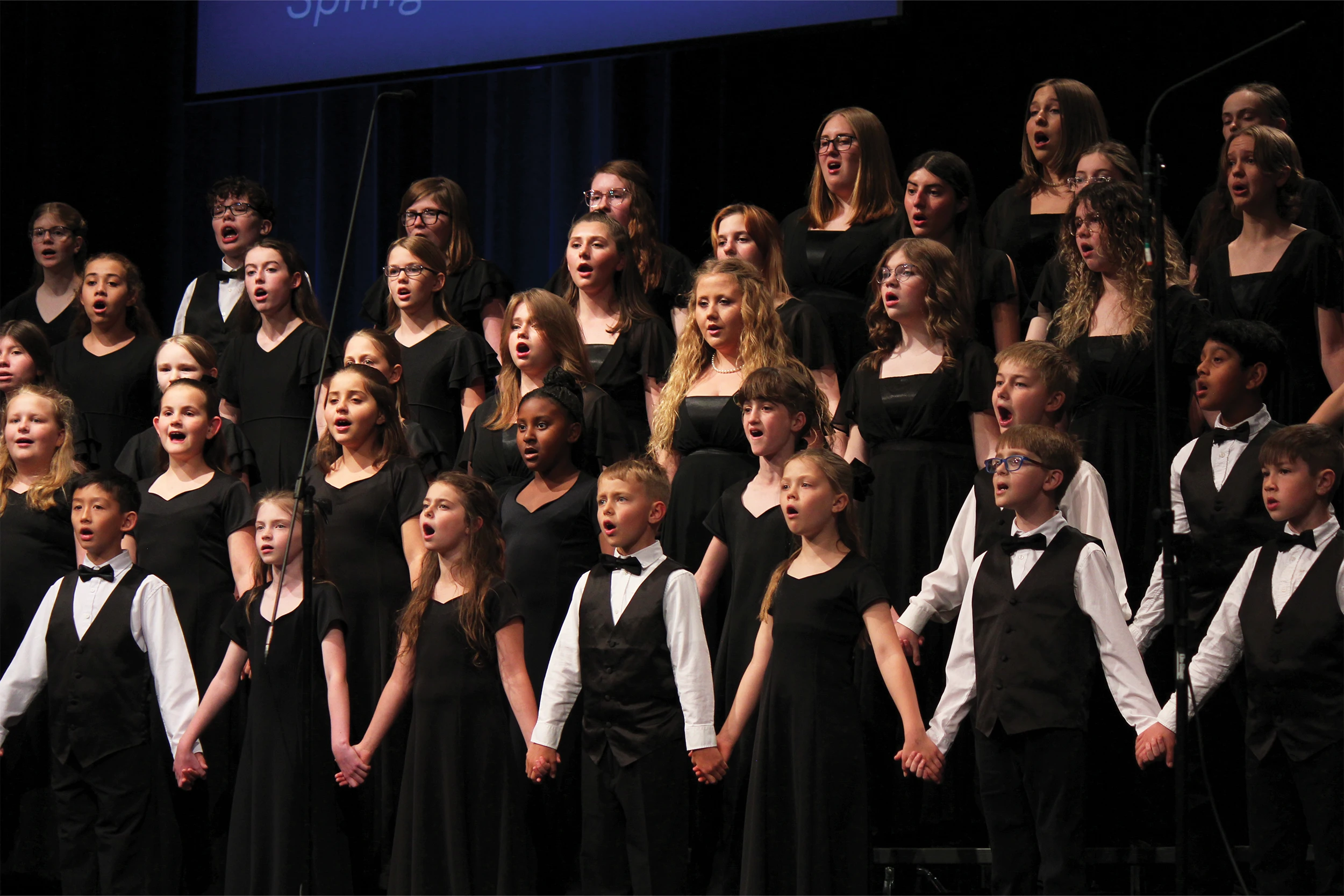 The Roanoke Valley Children’s Choir