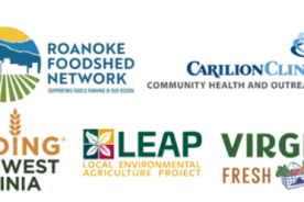 00195db6-dfe9-11ee-b95e-12163087a831-Picture1