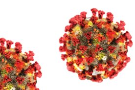 0047b03c-7349-11ea-b1ad-1244d5f7c7c6-coronavirus