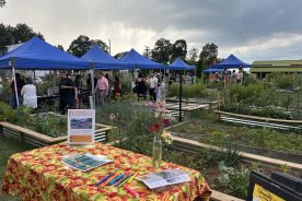 062725_Garden-Gala_tables_img6