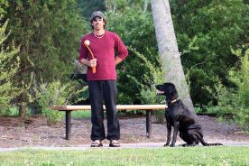 1043a238-224d-11e8-a12c-121bebc5777e-Dog-Training