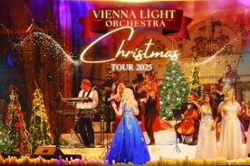 223fc81c-626a-11f0-80aa-1248ae80e59d-Picture1_2_