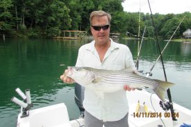 Rookie lake fisherman Steve Beyer was in the first cove east of Gills Creek Marina on the Blackwater side of Smith Mountain Lake for his catch.