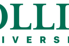 2642da66-f704-11ef-80c5-12163087a831-Hollins_Logo