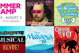 VCT Summer Camp