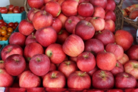 Beckner’s Produce in Wirtz, VA
