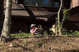 Ed Griffin plays hymns, patriotic songs and other favorites to raise the spirits of his friends — and himself — in a time of social distancing.