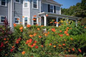 Teresa Blecksmith is a master gardener.