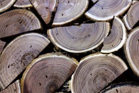 Heart Wood