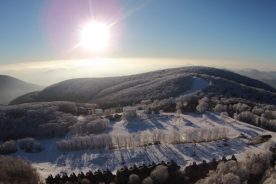 546feba2-51b1-11e5-b328-22000b078648-LOWinterPic