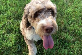 Spencer “Spence” Rippel