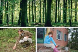 605c0d82-3f00-11e6-9b86-120dcefc1e29-RationalFearofTicks