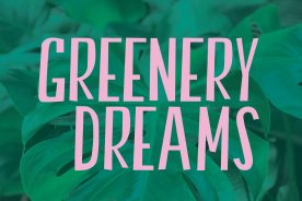 653d085a-0427-11ec-9744-1244d5f7c7c6-2109_SO_RoanokerWebBanners10