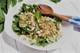 6fed6aec-77d4-11e9-9299-12f1225286c6-bok_choy_salad