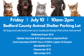 7.10 Mobile Clinic