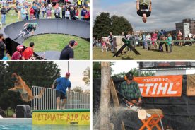 73bfeec2-51b0-11e5-9970-22000b078648-GoFest5