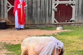 Dr. Steven Pasternak and the bride, Darla.