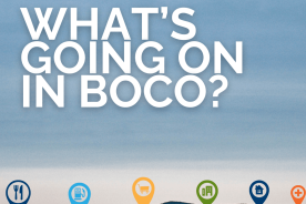 81c23838-2355-11ef-8652-12163087a831-Whats_Going_on_in_BoCo