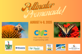 Visit cleanvalley.org/get-involved for more information and to register.